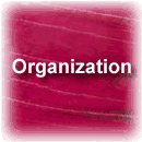 Organization