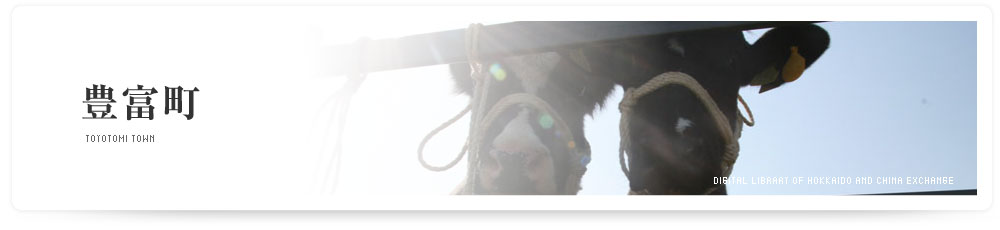豊富町 TOYOTOMI TOWN
