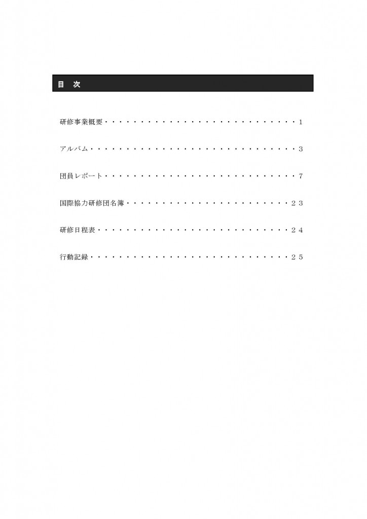 海外派遣2012報告書_ページ_02